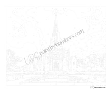 Load image into Gallery viewer, Houston Texas Temple | Paint By Numbers Kit