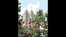 Load image into Gallery viewer, Salt Lake City Utah Temple | Paint By Numbers Kit