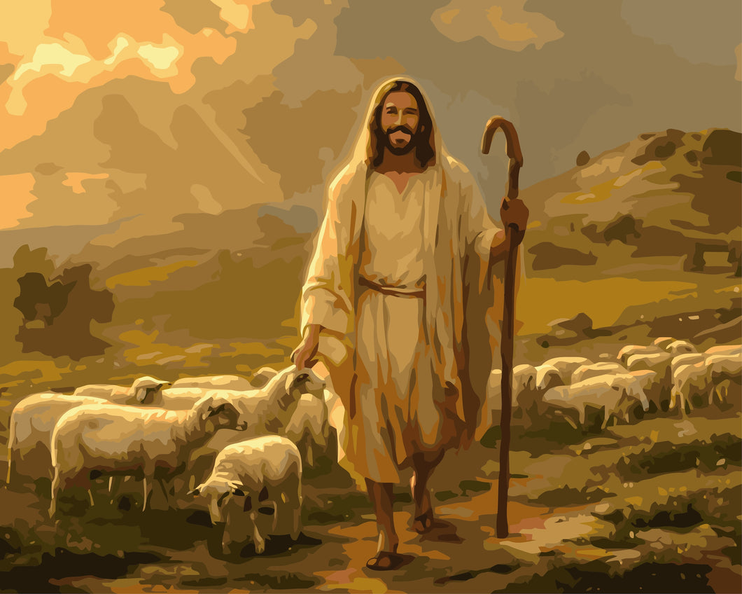Feed My Sheep | Paint By Number